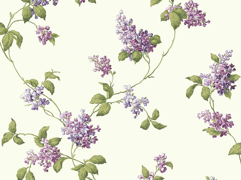 Texture, pattern, lilac, spring, green, purple, flower, paper, white, HD wallpaper