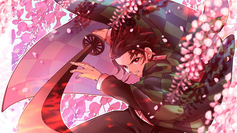 Demon Slayer Tanjirou Kamado With Long Sharp Sword With Background Of Pink Flowers Anime, HD wallpaper