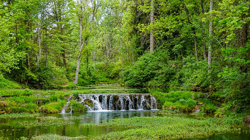 Waterfall In The Greenery Forest Pouring On Plants Covered River Nature, HD wallpaper