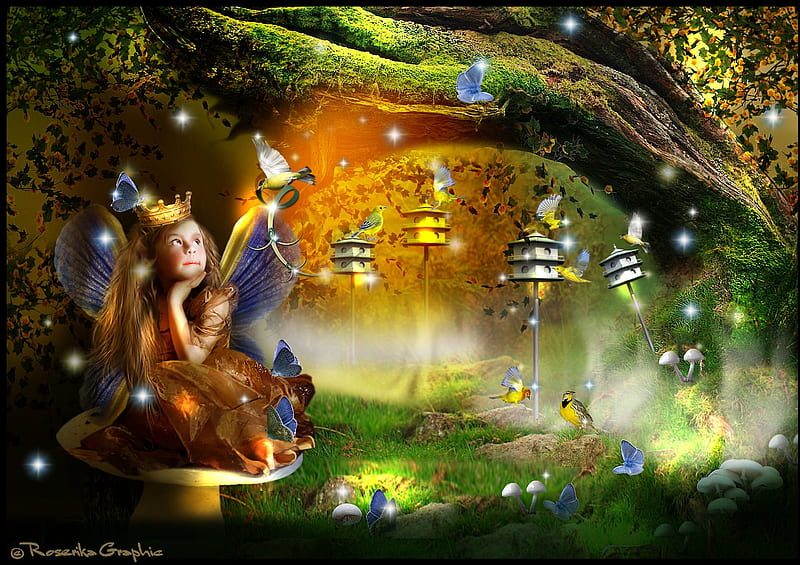 ..Little Princess of the Spirit.., rocks, pretty, grass, sweet, sparkle, splendor, manipulation, love, flowers, forests, childs, soul, butterfly designs, fairy, wings, lovely, models, birds, creative pre-made, trees, cute, bird houses, cool, shining, flying, crown, glow, woods, mushroom, bonito, digital art, leaves, people, fairies, girls, animals, female, colors, butterflies, spirit, plants, princess, HD wallpaper