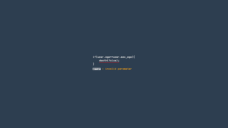 Coder, Minimalist Code HD wallpaper