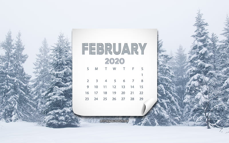 2020 February calendar, winter, snow, February, winter landscape, forest, fog, 2020 calendars, February 2020 calendar, HD wallpaper