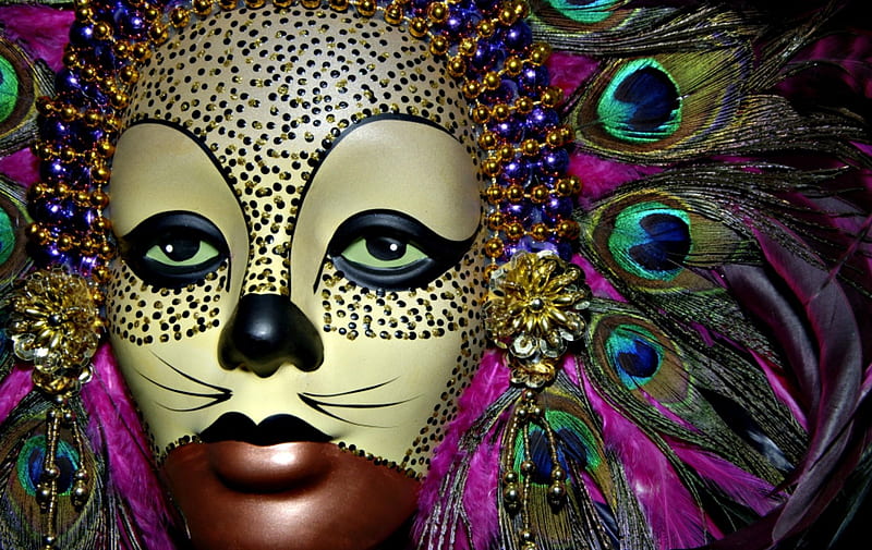 Mask, feather, golden, peacock, cat, pink, blue, HD wallpaper