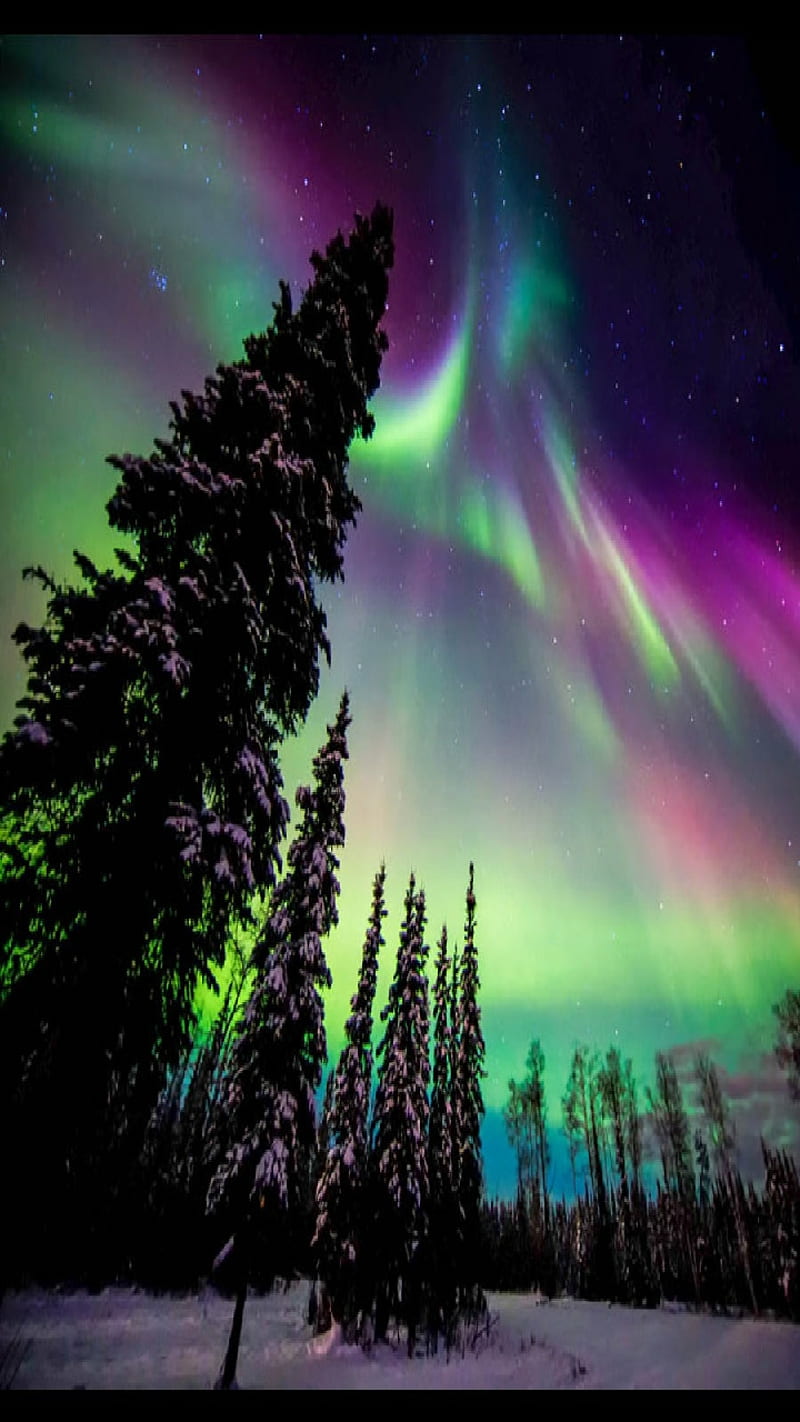 720P free download | Aurora, northern lights, neon, night, stars, sky ...