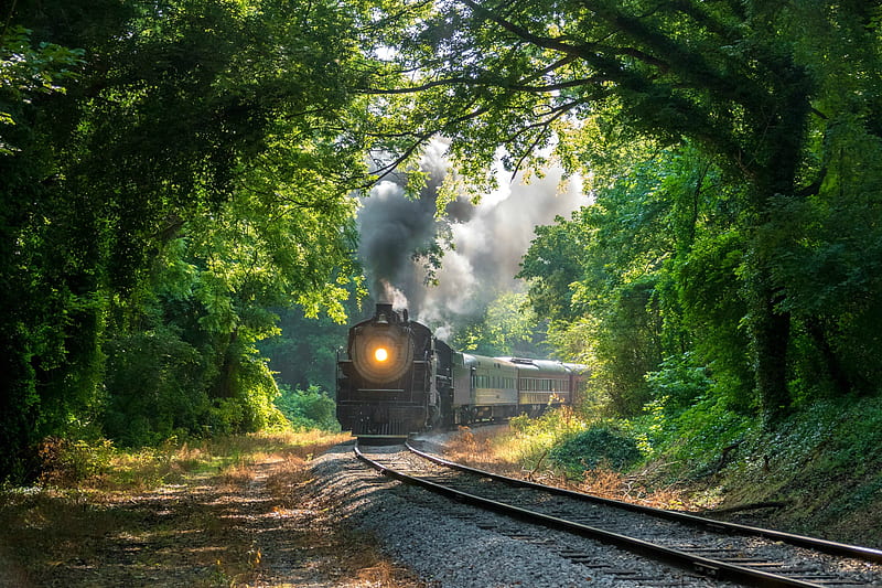 Steam Locomotive in Tennessee, forest, steam, usa, train, HD wallpaper
