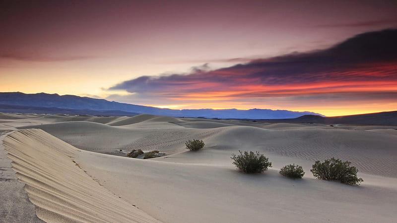 Desert Sand Dunes At Twilight Sand Desert Dunes Twilight Clouds Bushes Hd Wallpaper Peakpx