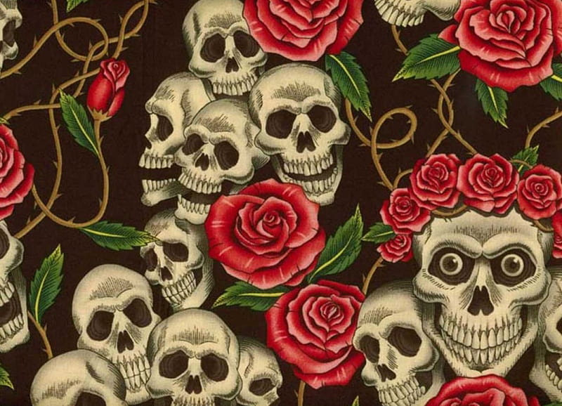 Skull & Roses, flower, roses, abstract, crowm, skull, HD wallpaper | Peakpx