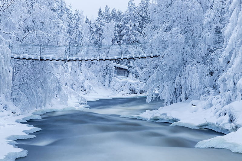 Finland, Water, Snow, Ice, Nature, Wonderland, Winter, HD wallpaper