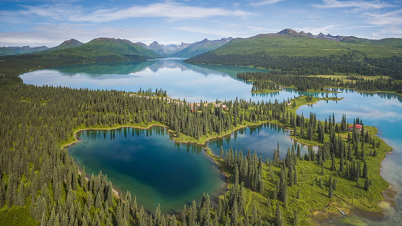 Alaska bosque y panorama montañoso con la naturaleza del lago, Fondo de  pantalla HD | Peakpx