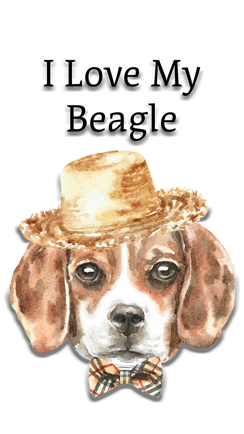 Love My Beagle Dog, beagle, cute beagle, cute dog, love my beagle, phone,  for dog lover, HD phone wallpaper | Peakpx