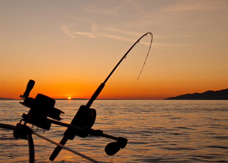 black fishing rod and body of water during golden hour, HD wallpaper