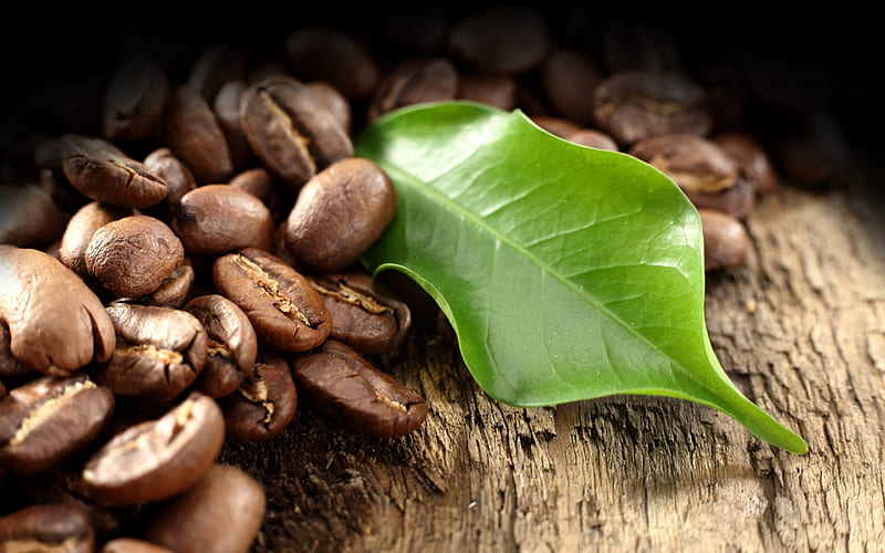 *** Coffee beans ***, coffee, brown, food, fresh, beans, HD wallpaper