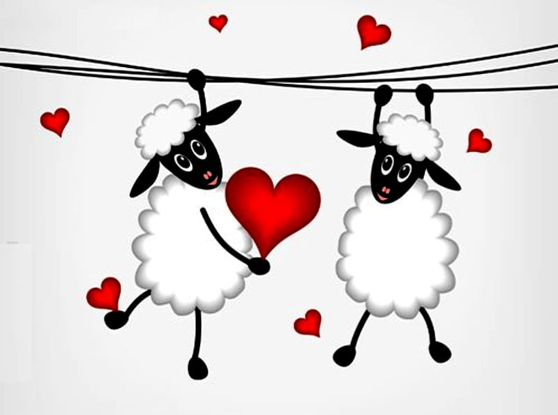 Love Is In The Air, Cute, Black, Red, Love, White, Funny, Sheep, HD wallpaper