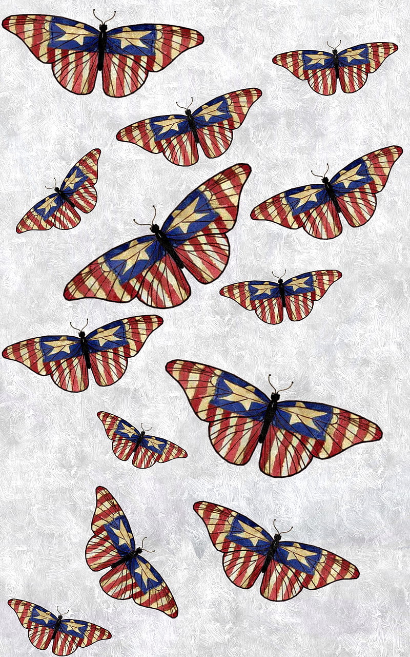 Patriotic Wings, 4th, 4th of july, america, american, butterflies, butterfly, independence day, july, red white blue, HD phone wallpaper