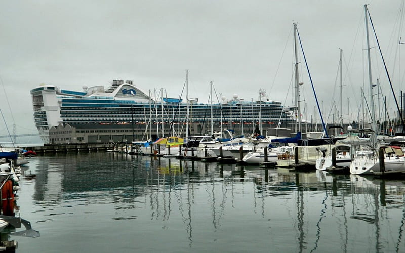 Star Princess 2 cruise ship, USA, Star Princess, pier, graphy, dock, California, waterscape, San Francisco, scenery, HD wallpaper