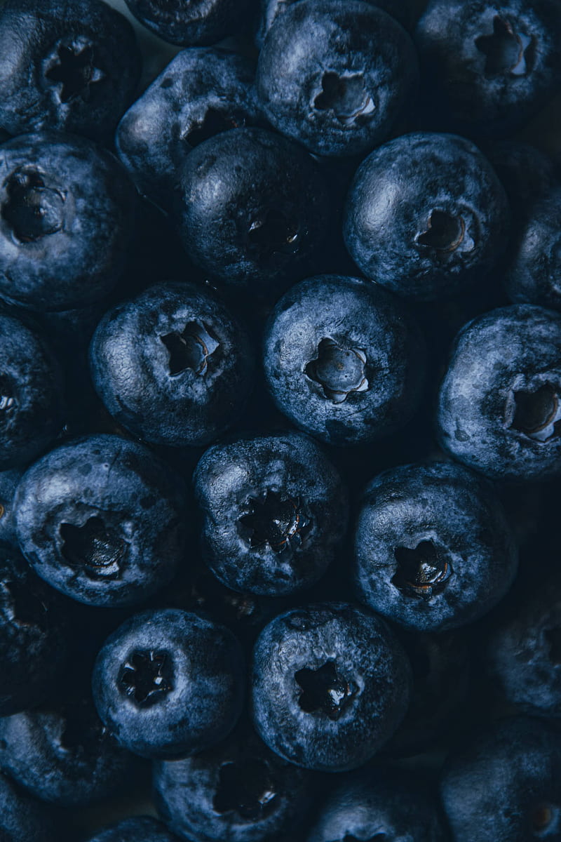 Blueberry Wallpapers  Wallpaper Cave