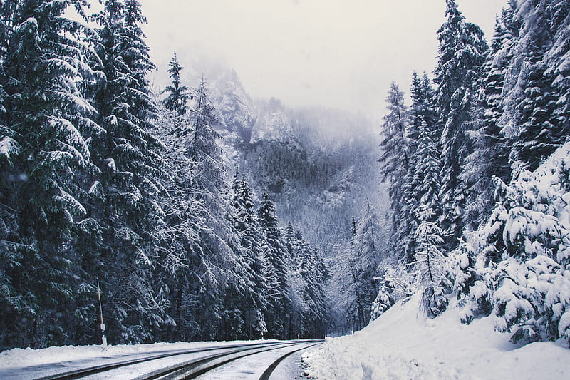 road, forest, turn, mountains, snowy, winter, trees, HD wallpaper