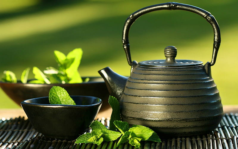 Green Tea, outside, tea, green, leafs, HD wallpaper