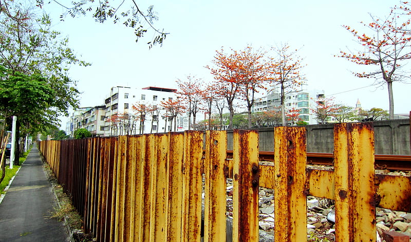 Kapok and iron railings, trail, iron railings, railway, kapok, HD wallpaper