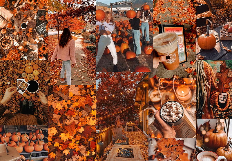 Autumn Collage : Cozy for PC 1 - Fab Mood. Wedding Colours, Wedding Themes, Wedding colour palettes, Fall Vibes, HD wallpaper