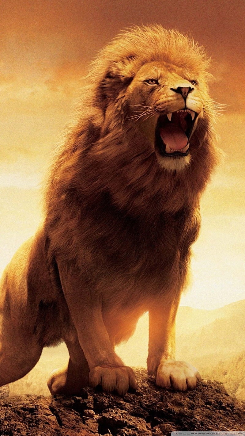 Top 100+ imagen imagenes de leones rugiendo para fondo de pantalla -  