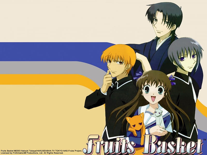 The Main Characters, cat, tohru, yuki, sohma, HD wallpaper | Peakpx