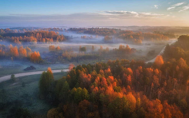 Autumn Morning in Latvia, Latvia, autumn, trees, mist, landscape, HD wallpaper