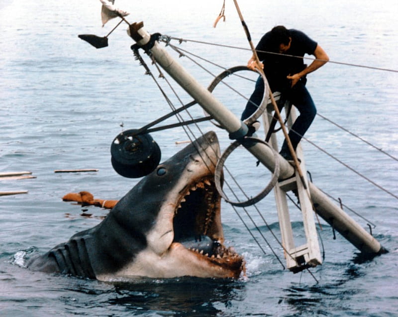 JAWS, Martin Brody, 1975, SHARK, HD wallpaper