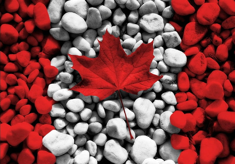 Happy-Canada-Day, cool, day, happy, canada, HD wallpaper