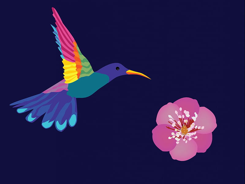 Hummingbird & Flower, colorful, spring, song, bird, bright, summer, flower, pink, blue, vector, HD wallpaper
