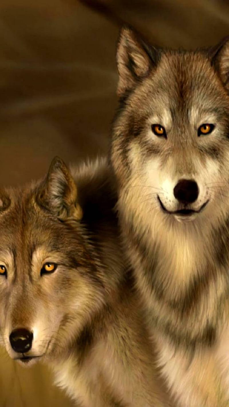 animal, wolves, HD phone wallpaper animal, wolves, HD phone wallpaper
