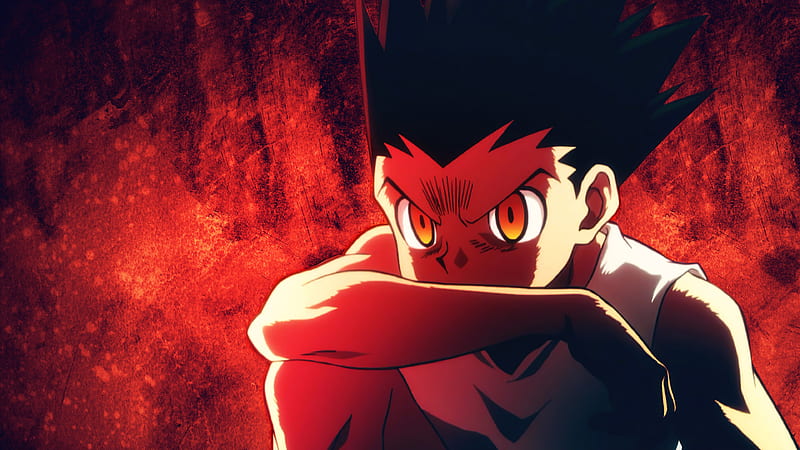 Gon css, gon adulto, hunter x hunter, HD phone wallpaper | Peakpx