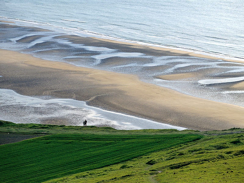 A distant shore, beach, grass, view, people, sea, HD wallpaper