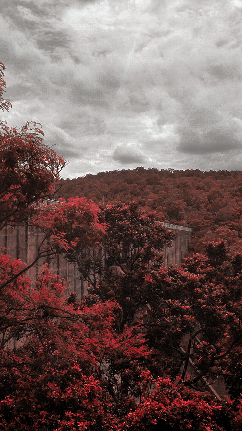 Red and grey, Trigraphy, aesthetic, bonito, clouds, cloudy, colourful, dam, hills, leaves, life, nature, red trees, surreal, tree, HD mobile wallpaper