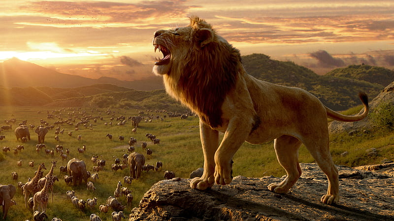 The Lion King Movie 10k, the-lion-king, lion, 2019-movies, movies, disney, HD wallpaper