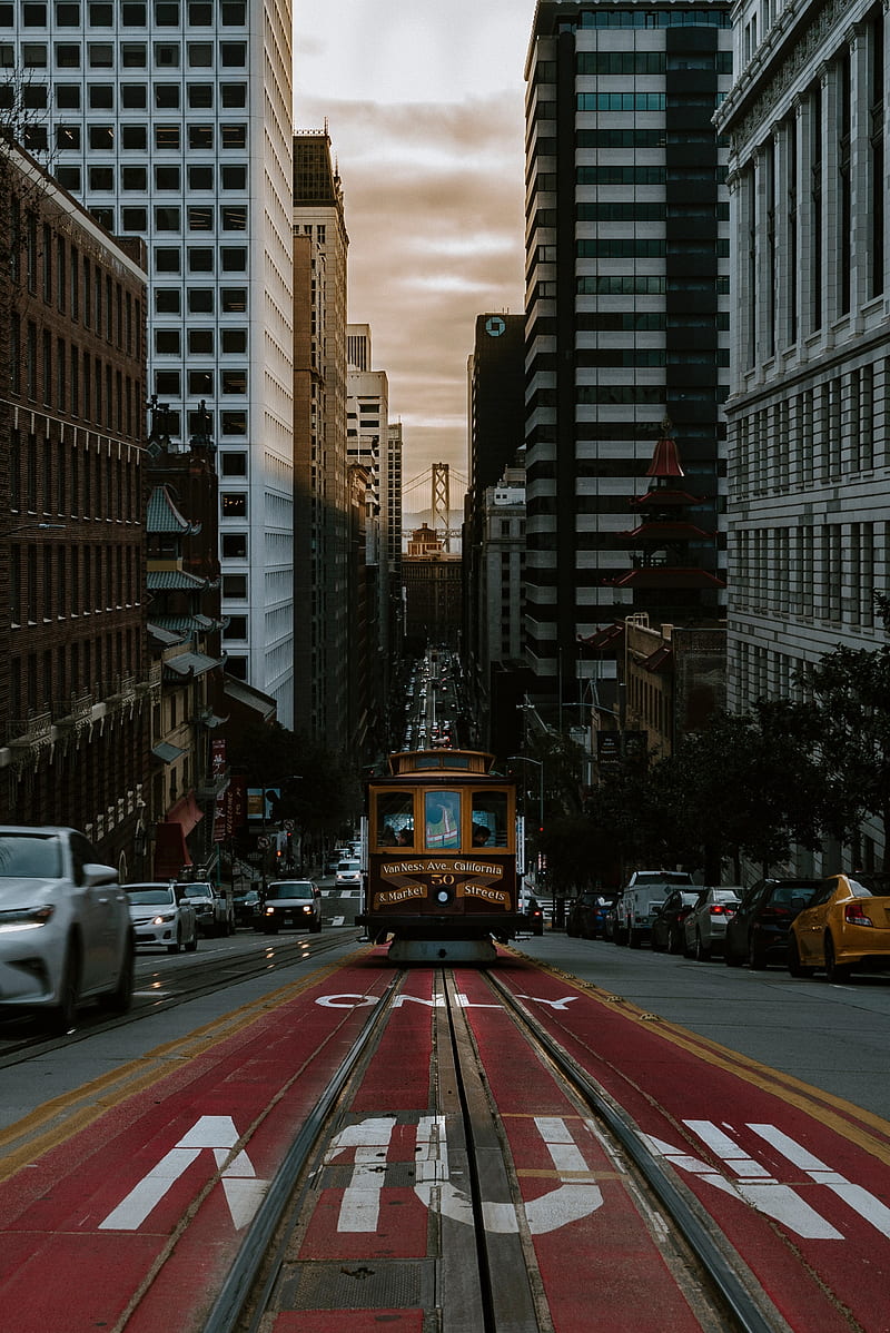tram, transport, street, city, traffic, HD phone wallpaper