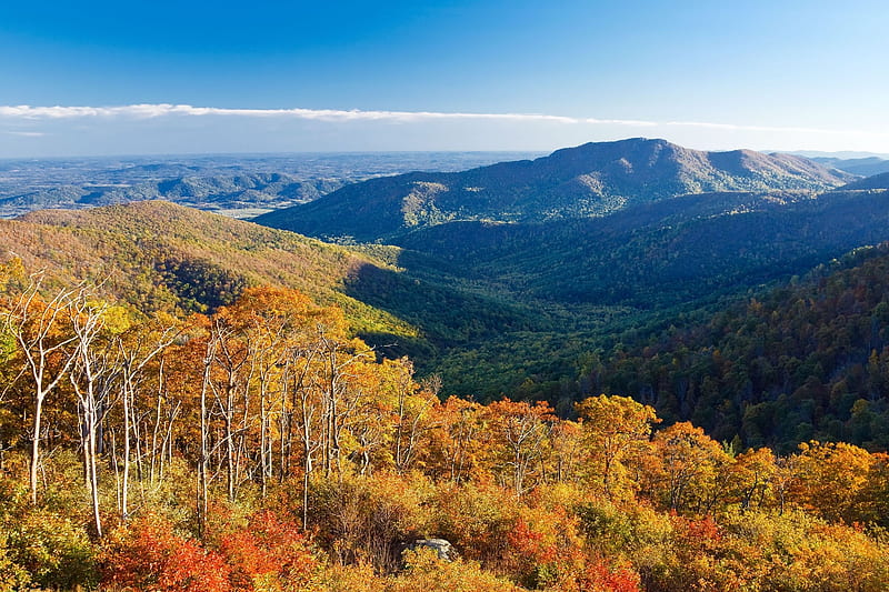 Shenandoah National Park, Virginia, forest, autumn, season, trees, landscape, HD wallpaper