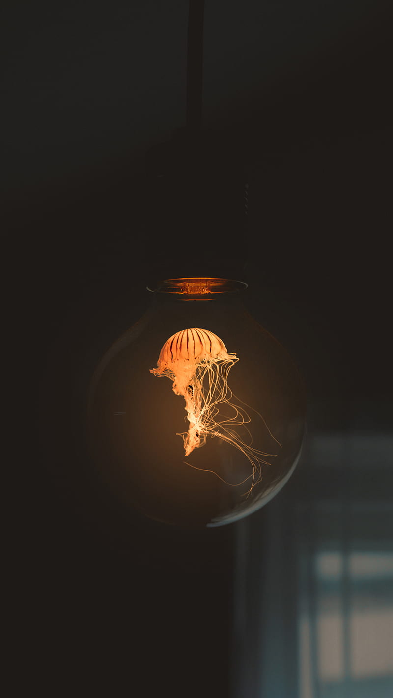 magical bulb, adobe, adobehop, creative, jellyfish, light, manipulation, hop, poster, HD phone wallpaper