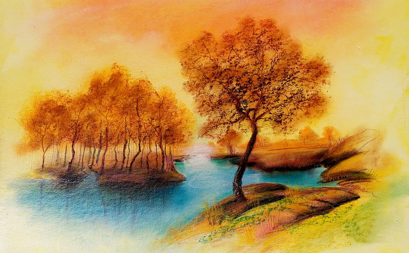 Lake, Tree, Reproduction, Sunset, HD wallpaper