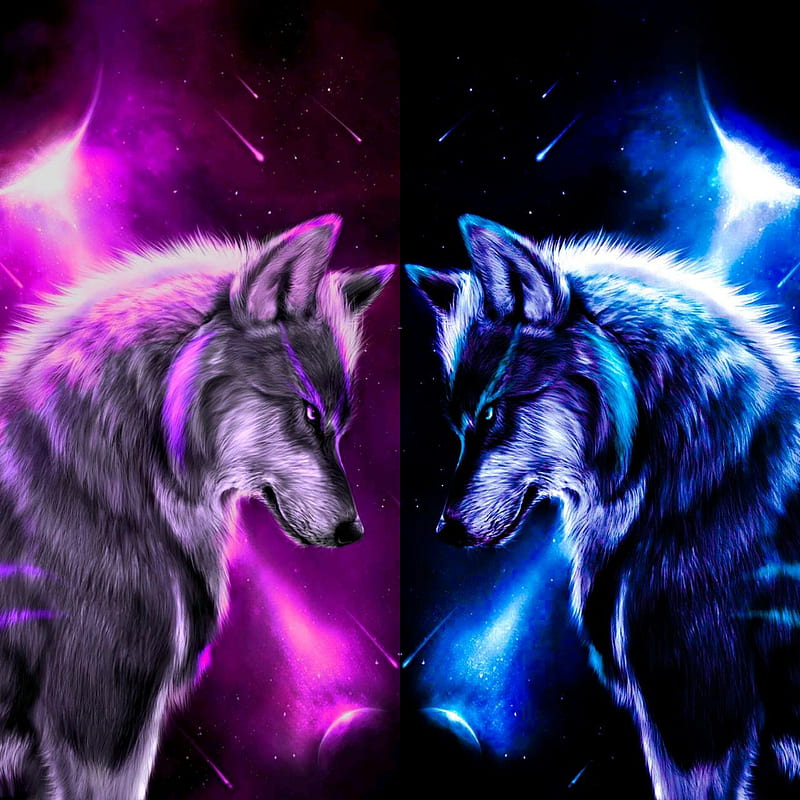 My Wolves, animal, black, cute, moon, wolf, wolves, HD phone wallpaper