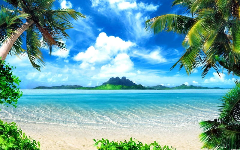Tropical Paradise, coconut trees, bonito, sea, beach, seashore, paradise, nature, island, tropical, HD wallpaper