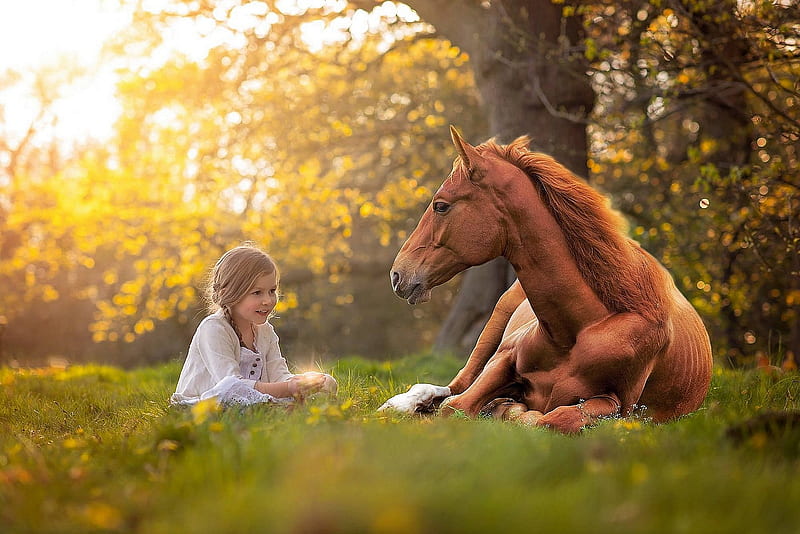 Young Girl with a Horse, Girl, Love, Beauty, Horse, HD wallpaper