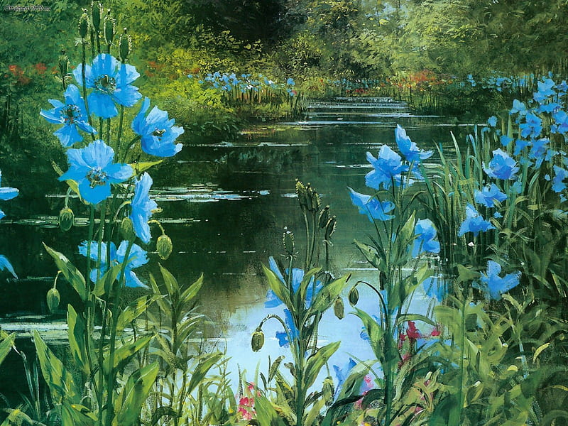 Breathtaking-Views Blue-Poppies, riverbank, grass, poppies, sea, blue poppies, painting, flowers, waterscape, river, rivers, blue, art, forest, lakes, park, trees, lake, pond, tree, gras, water, flower, blossoms, garden, nature, coast, HD wallpaper