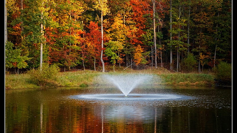 the fountain, forest, fall, fountain, grass, colors, trees, lake, pond, leaves, water, walk, HD wallpaper