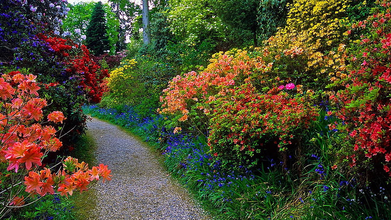 Garden Pathway With Colorful Flowers Garden, HD wallpaper