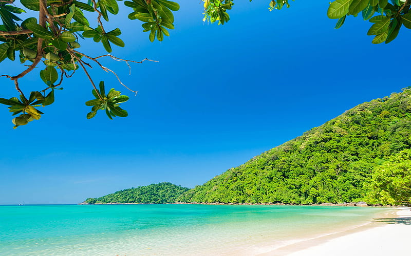 tropical island, Bahamas, beach, ocean, summer, travel, green trees, coast, blue lagoon, HD wallpaper