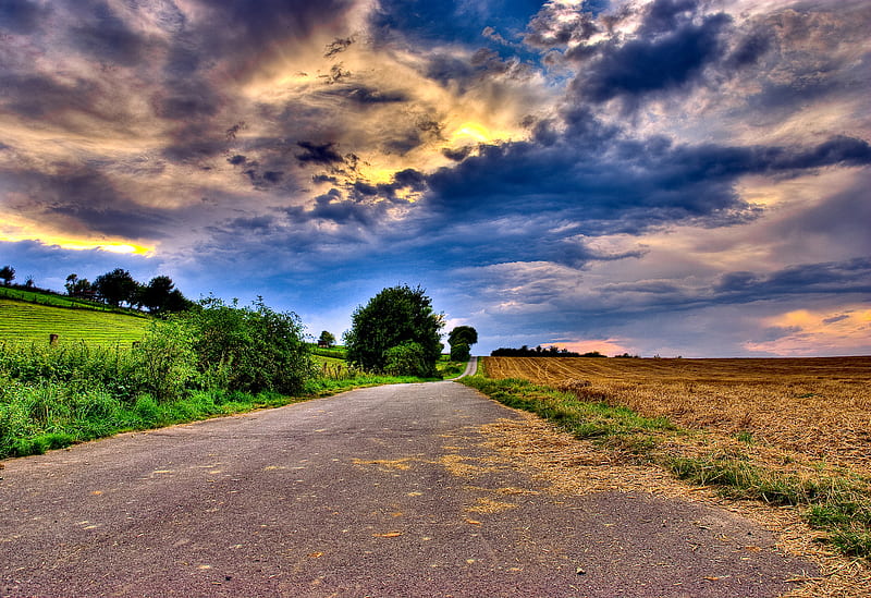 Road to peace, sky, clouds, tree, nature, land, way, road, fileds ...