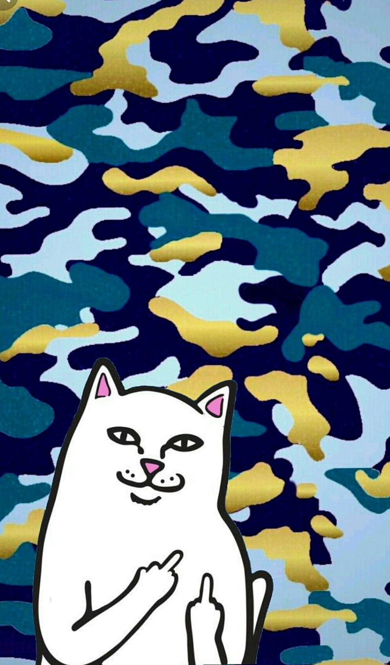 Rip N Dip Ripndip Cat Cats Hd Mobile Wallpaper Peakpx