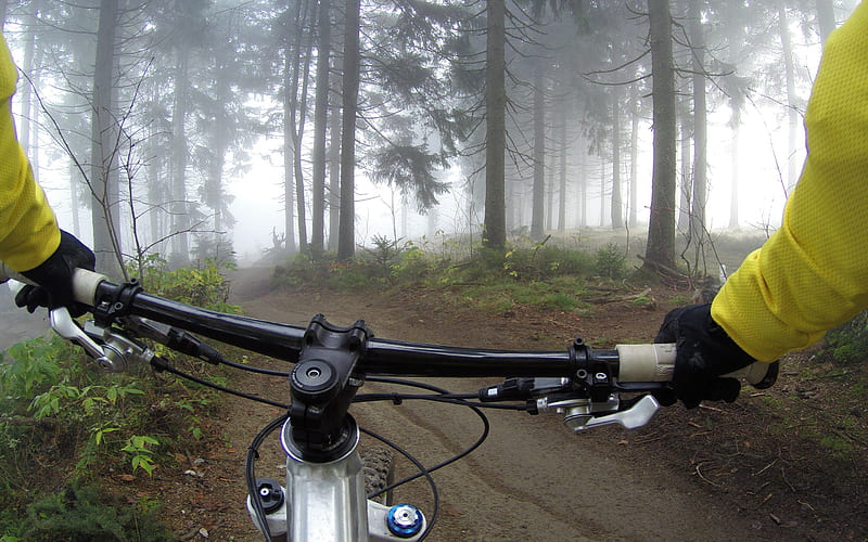 mountain bike, cycling through the forest, bicycle handlebars, forest, fog, cycling, HD wallpaper