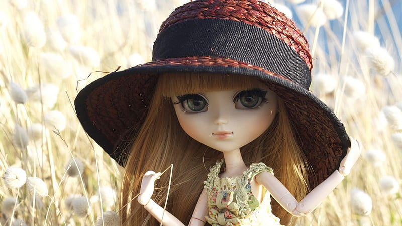 Girl Toy With Gray Eyes And Hat Doll, HD wallpaper